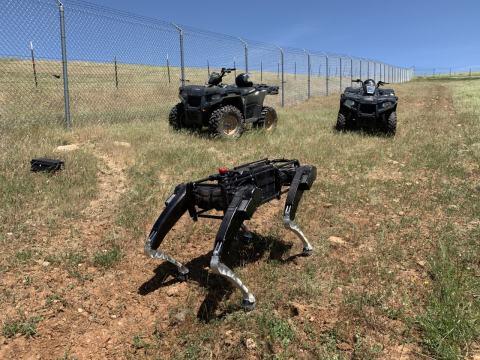 EE.UU. prueba perros robot para patrullar la frontera